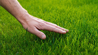 lawncare gardencare2000/stoke on trent